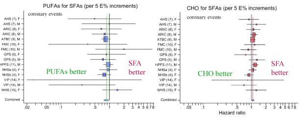 SFA_Jakobsen_Sub_AJCN-2_2009
