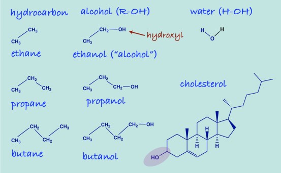 AlkaneAlcohol_Dec8