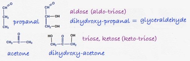 org-3_blog_trioses_Feb13