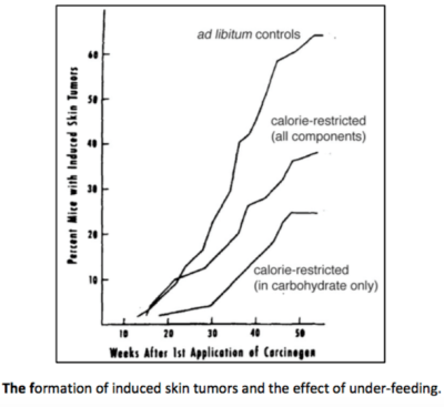 tannenbaum_low-carb_cr
