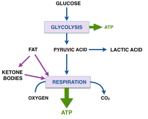 kdforca-2_blog-2_112116
