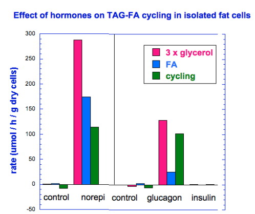 BLOG_FA-TAG_CYCLE_MAR_29